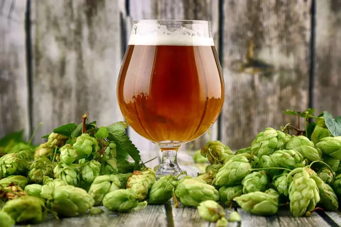 Review: IPAs sure to give your tastebuds a lift